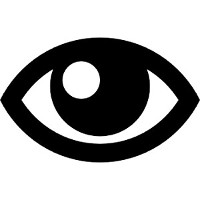 Surveillance
